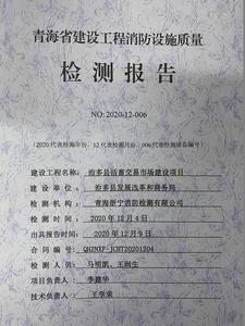 检测报告